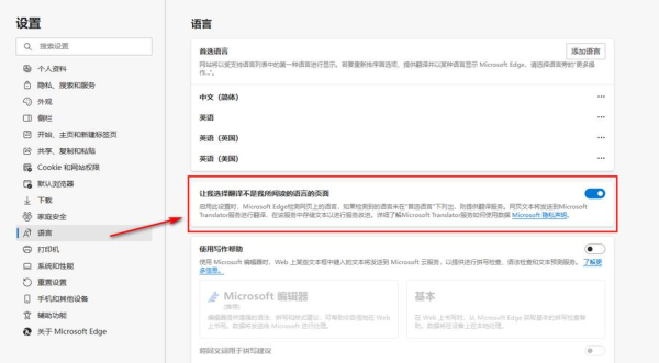 有道翻译显示不出来/有道翻译浏览器不显示